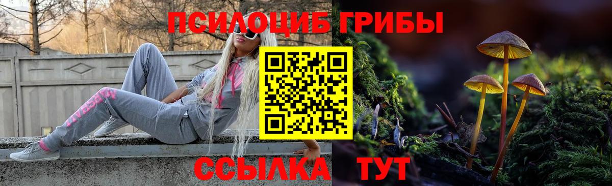 Галлюциногенные грибы мицелий  Вход с VPN  Кунгур 